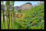 realizacja projektów zieleni miejskiej