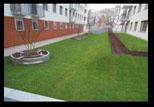 Trawnik na osiedlu mieszkaniowym